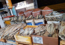 Procon-CG: Pesquisa constata que preços de pescados variam até 300,14% e de ovos de chocolate chegam até 40,69%