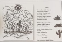 Escolas da rede municipal de ensino desenvolvem atividades para lembrar passagem do Dia do Bioma Caatinga