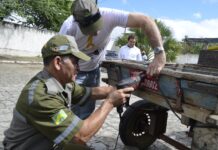 Prefeitura de Campina Grande realiza ação nesta quarta-feira para carroceiros