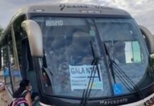 Prefeitura de Campina Grande disponibiliza ônibus para os distritos, com tarifa zero