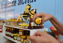 Quase 70% das empresas ativas no país são MEI, divulga ministério