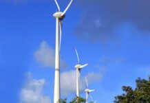 Geração instantânea de energia eólica no Nordeste tem novo recorde