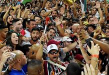 Fred se despede do futebol com vitória e nos braços da torcida