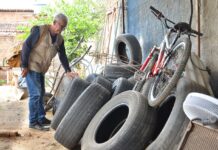 Infestação do Aedes aegypti cai em Campina Grande, mas ainda é alta