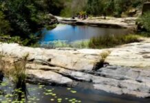 Prefeita Dalva confirma presença de Lagoa Seca na 18ª edição da RuralTur, no Brejo paraibano