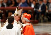 Papa Francisco empossa 20 novos cardeais