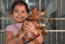 Prefeitura de Campina Grande imuniza mais de 40 mil animais no dia D da vacinação antirrábica