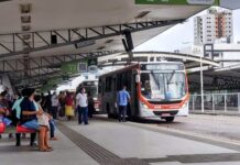 STTP divulga circulação de ônibus para o feriado do Dia do Comerciário