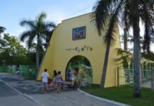 Parque da Criança receberá serviços de saúde gratuitos no domingo