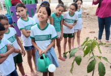 Dia da Árvore em Campina Grande é celebrado com distribuição de mudas e plantio em escolas e parques