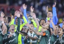 Palmeiras é campeão da Libertadores da América feminina