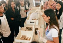 Parceria da PMCG com UEPB leva Museu de História Natural à escolas municipais