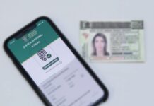 Eleições 2022: saiba o que é preciso levar no dia da votação