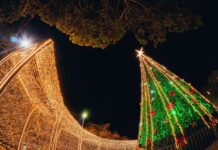 Natal de Campina Grande terá três vezes mais locais com pontos de decoração luminosa do que edição 2021