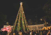 Campina Grande amplia Natal Iluminado como referência no turismo natalino, na região Nordeste