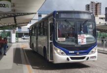 STTP divulga circulação de ônibus durante jogo do Brasil e Suiça; confira