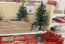 Procon-CG: Pesquisa mostra que preços de artigos natalinos podem custar até 17 vezes mais caro