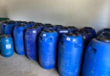 Prefeitura de Lagoa Seca vai distribuir 5 toneladas de sementes crioulas com agricultores familiares