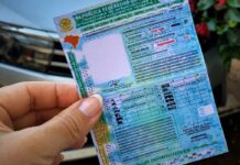 Prazo para renovar carteira de habilitação volta a ser de 30 dias