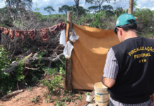 Trabalho escravo: 2.575 pessoas foram resgatadas em 2022