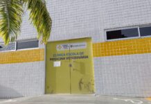 UNINASSAU promove semana contra a Otite caninana