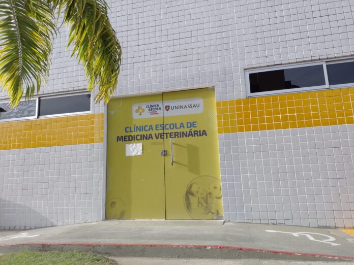 unina4fef1bf-a675-4a3a-94f5-1d6ec81b58bc