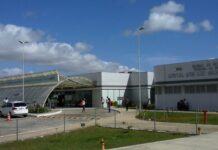 Trauma-CG registra quase 400 ataques de animais peçonhentos em 2023