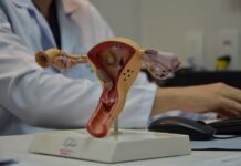 Prefeitura de Campina Grande amplia oferta de laqueaduras e vasectomias e adequa serviço à nova lei