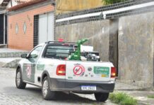 PMCG divulga segundo Levantamento Rápido do Índice de Infestação por Aedes aegypti