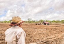 Prefeitura de Boa Vista fortalece a agricultura e impulsiona o desenvolvimento rural