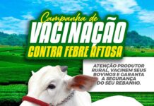 Criadores de Boa Vista recebem gratuitamente doses para imunizar o rebanho bovino