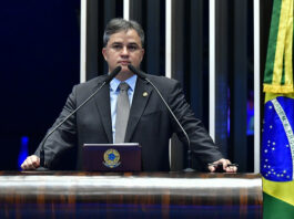 Senado aprova relatório de Efraim que impede desfiguração da Lei da Mata Atlântica