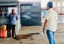 Deputado Fábio Ramalho solicita melhorias na Ceasa de Campina Grande