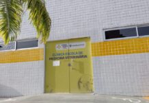 Clínica-Escola Veterinária abre vagas para avaliar Pets