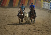 STF marca para 26 de maio julgamento de ação que questiona permissão de vaquejadas