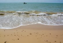Confira os três trechos de praias impróprios para banho neste final de semana na Paraíba