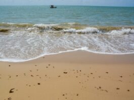 Confira os três trechos de praias impróprios para banho neste final de semana na Paraíba