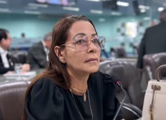 Vereadora Aninha Cardoso lamenta protesto de servidores na Câmara e defende diálogo com a categoria
