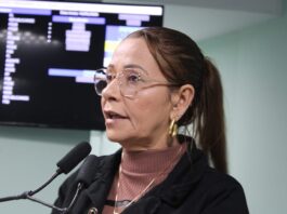 Aninha Cardoso solicita operação tapa-buraco em ruas de vários bairros de Campina Grande