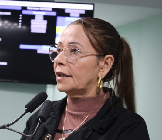 Aninha Cardoso solicita operação tapa-buraco em ruas de vários bairros de Campina Grande