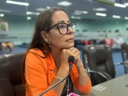 Vereadora Aninha Cardoso apresenta balanço com 68 ações parlamentares neste primeiro semestre de 2026