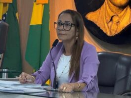 Vereadora Aninha Cardoso alerta sobre preocupação com saúde mental dos campinenses no “Setembro Amarelo”