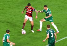 Palmeiras e Flamengo decidem 1º tetra brasileiro na Libertadores