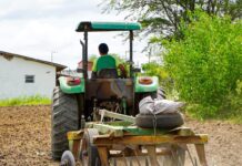 Prefeitura de Campina Grande intensifica ações de corte de terra e recuperação de estradas