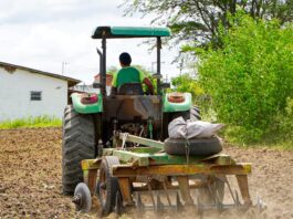 Prefeitura de Campina Grande intensifica ações de corte de terra e recuperação de estradas