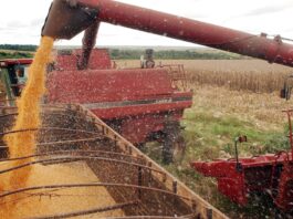 Fundos privados de investimento no agro crescem até 174% em abril