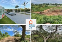 No Naçõesville, a harmonia com a natureza torna o dia a dia mais leve