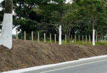 Veneziano anuncia alargamento da Br-104 entre Campina Grande e Lagoa Seca