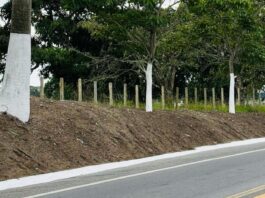 Veneziano anuncia alargamento da Br-104 entre Campina Grande e Lagoa Seca
