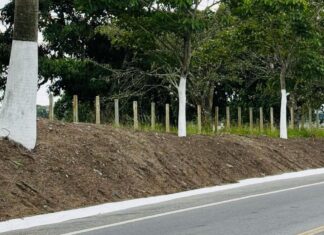 Veneziano anuncia alargamento da Br-104 entre Campina Grande e Lagoa Seca